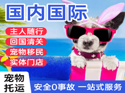 海西德令哈机场物流国际宠物托运 【国